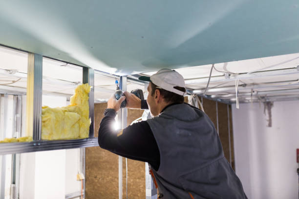 Types of Insulation We Offer in Dripping Springs, TX